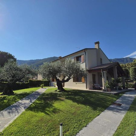 Maryhouse Villa Borso del Grappa Luaran gambar